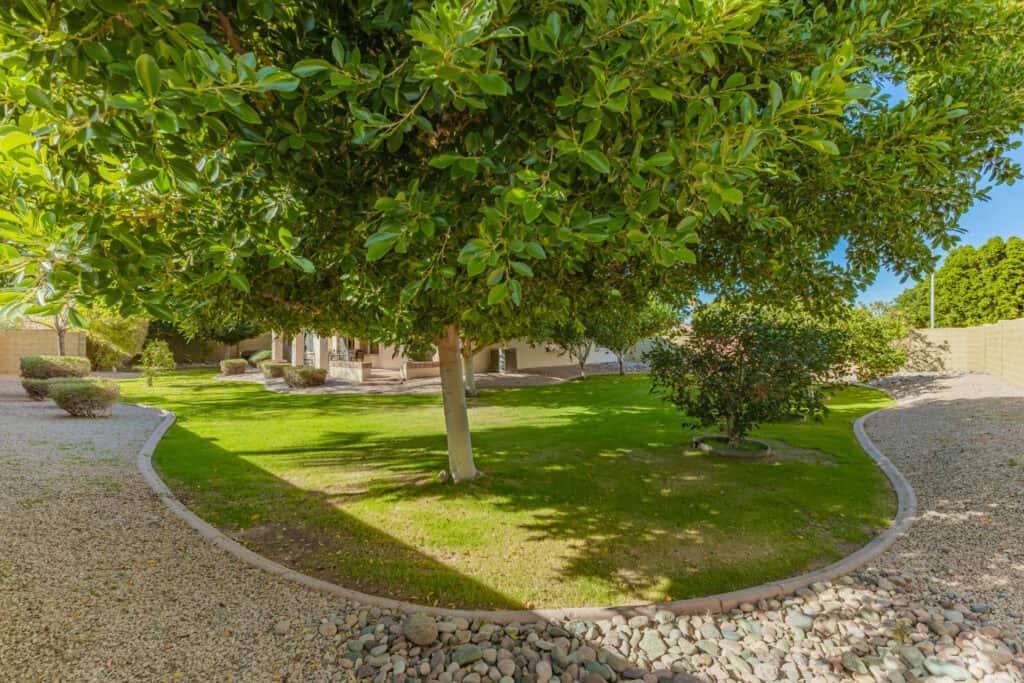 Large backyard with large fruit trees for shade.